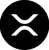 100xelevate logo