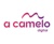 ACamelo Digital logo