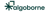 AlgoBorne logo