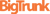 Bigtrunk Communications Pvt Ltd logo