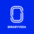 Binaryveda logo