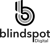 Blindspot Digital logo