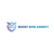 Boost Wise Agency logo