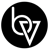 Brand Vision logo