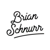 Brian Schnurr Web Design & SEO logo