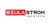 Bzulastrom Infotech - Out of Business logo