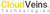Cloud Veins Technologies logo