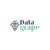 Datagrape.ai logo