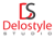 Delostyle Studio Private Limited logo