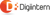 Digiintern - Best Web Designing & Seo Company logo