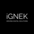 IGNEK logo