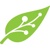 Mowgli logo