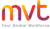 My Virtual Teams Pvt Ltd logo