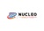 Nucleo Analytics Pvt Ltd logo
