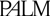 Palm logo
