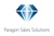Paragon Sales Solutions logo