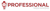 Professional Web Maker logo