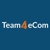 Team4eCom logo