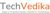 TechVedika Inc. logo