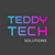 Teddy Tech Solutions logo
