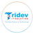 Tridev IT Solution Pvt. Ltd. logo