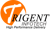 Trigent Infotech Pvt. Ltd. logo