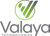 Valaya Technologies logo