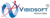 VIBIDSOFT logo