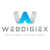 Webdigiex Solutions Private Limited logo