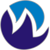 Webskynet IT Solution logo