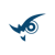 Wise Vision logo