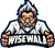 WiseWala Web Design logo