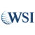 WSI Peak Digital Strategy logo
